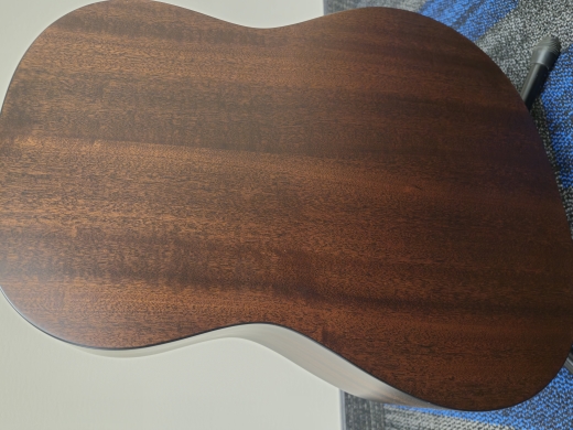Store Special Product - Taylor Guitars - 317E